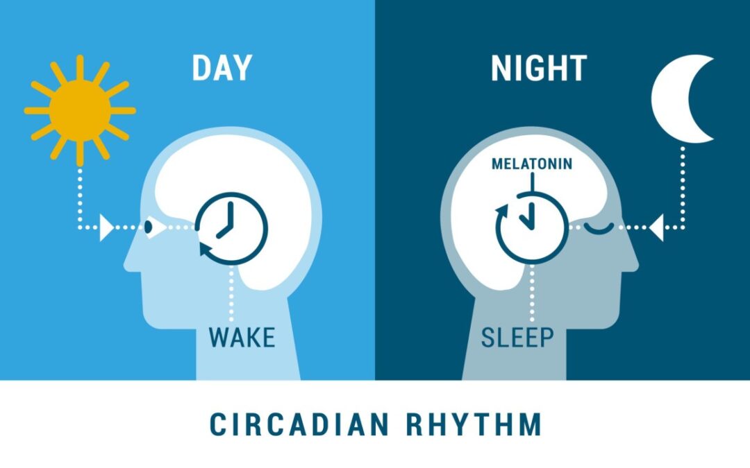 Understanding Circadian Rhythm: The Influence of Timing, Light & Temperature on Sleep